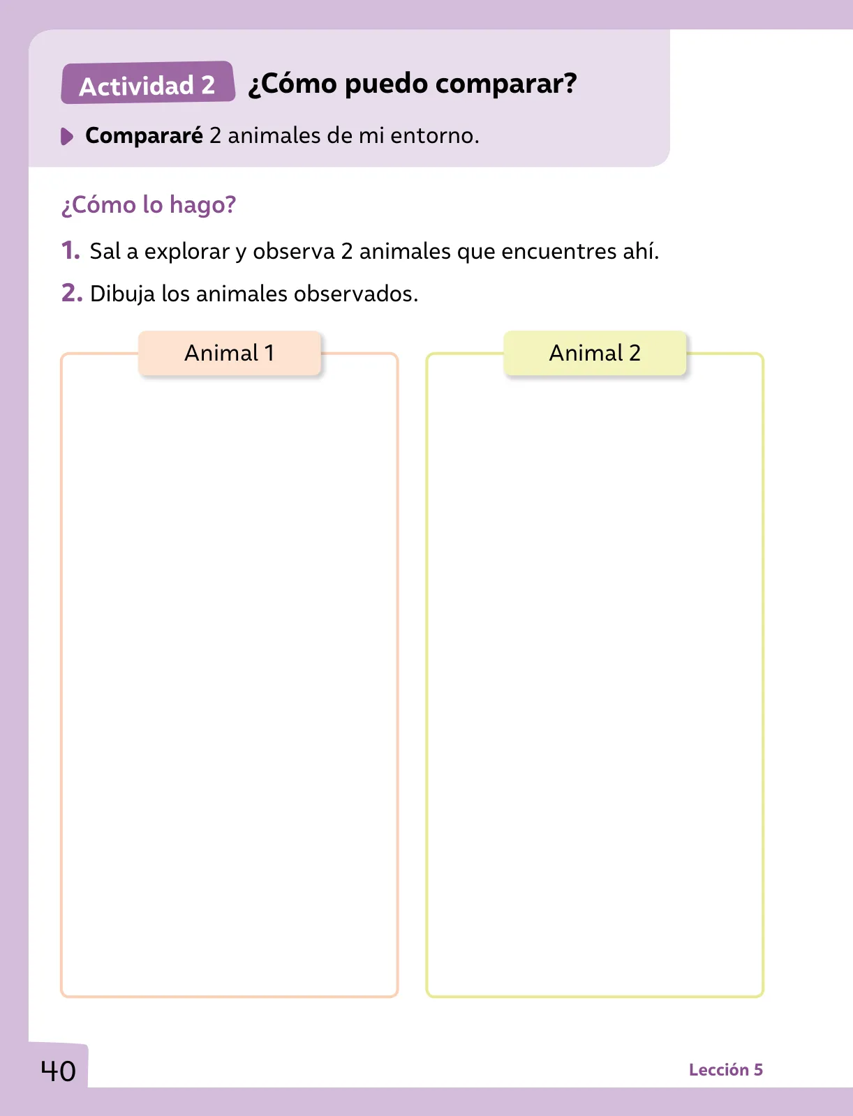 Página 41 de Ciencias Naturales – Primero Básico | Texto del Estudiante (MINEDUC) – Descargar PDF · 2024