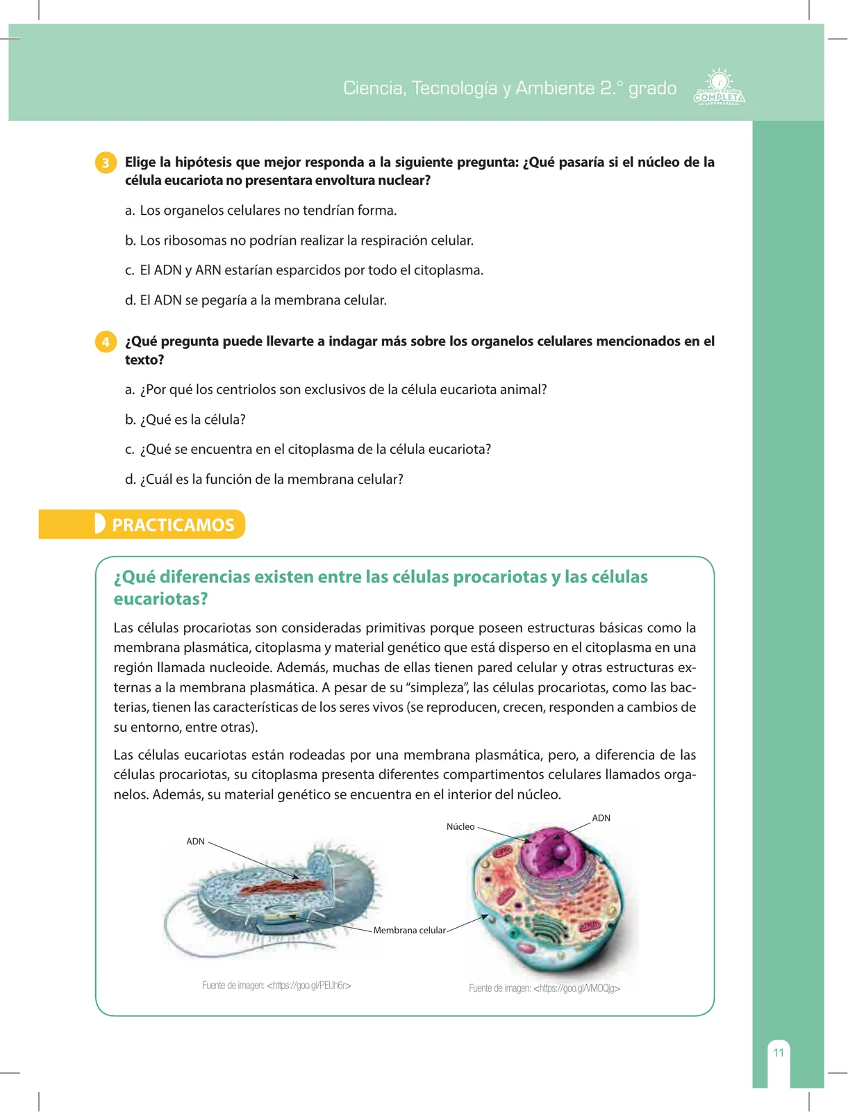 Miniatura página 11 de Ciencia, Tecnología y Ambiente 2 : cuaderno de reforzamiento pedagógico - JEC · 2016