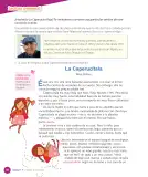 Miniatura página 52 de Lenguaje y Comunicación – Cuarto Básico | Texto del Estudiante MINEDUC – Descargar PDF · 2024