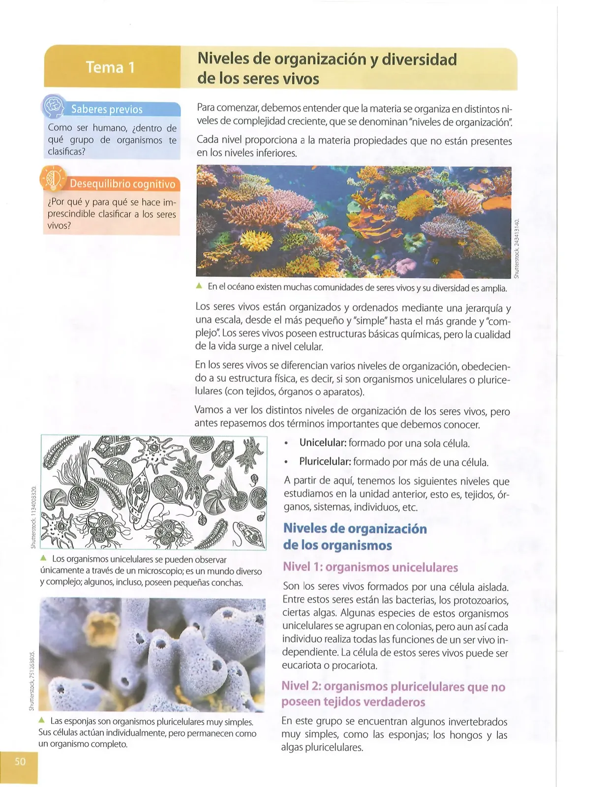 Página 49 de Ciencias Naturales · 8 EGB · 2025