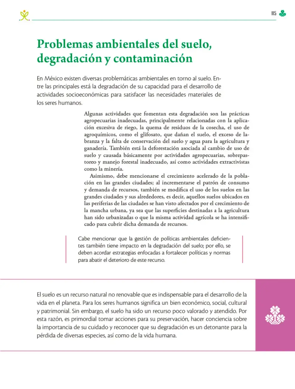 Página 116