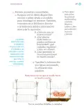 Miniatura página 248 de Proyectos Escolares.   Libro de Educación Primaria Grado 1°  Ciclo Escolar 2025 - 2026