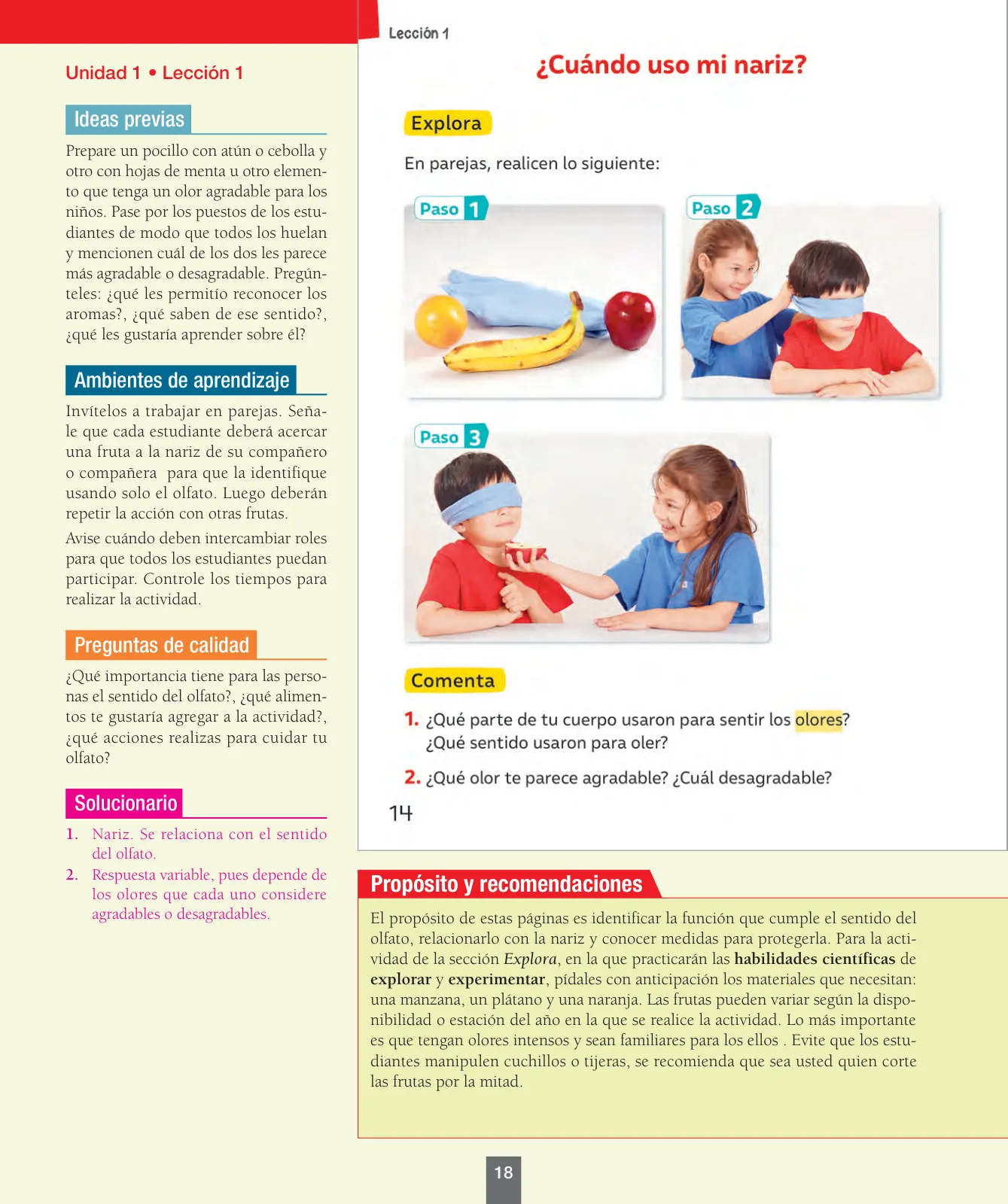 Miniatura página 19 de Ciencias Naturales – Primero Básico | Texto del Estudiante (MINEDUC) – Descargar PDF · 2024