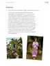 Miniatura página 228 de Proyectos Comunitarios.   Libro de Educación Primaria Grado 4°  Ciclo Escolar 2025 - 2026