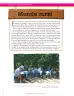 Miniatura página 62 de Ciencias Naturales 6° · Secundaria Activa