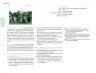 Miniatura página 163 de Posibilidades de trabajo para la acción transformadora y el codiseño. Ficheros. Fase 2  Libro de Educación Preescolar Grado 1°, 2°, 3°  Ciclo Escolar 2025 - 2026