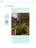 Miniatura página 145 de Colección Ximhai. Nuestro libro de Proyectos.  Tomo III.  Libro de Educación Telesecundaria Grado 1°  Ciclo Escolar 2025 - 2026
