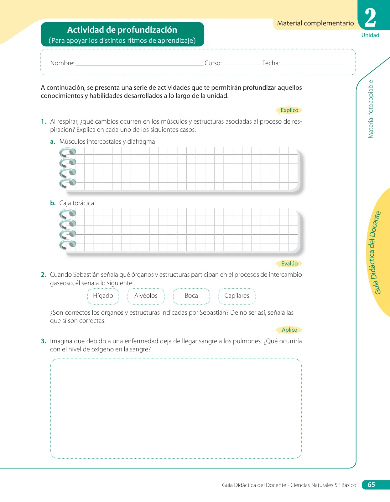 Miniatura página 121 de Libro de Ciencias Naturales – Quinto Básico | Texto del Estudiante MINEDUC – Descargar PDF · 2024