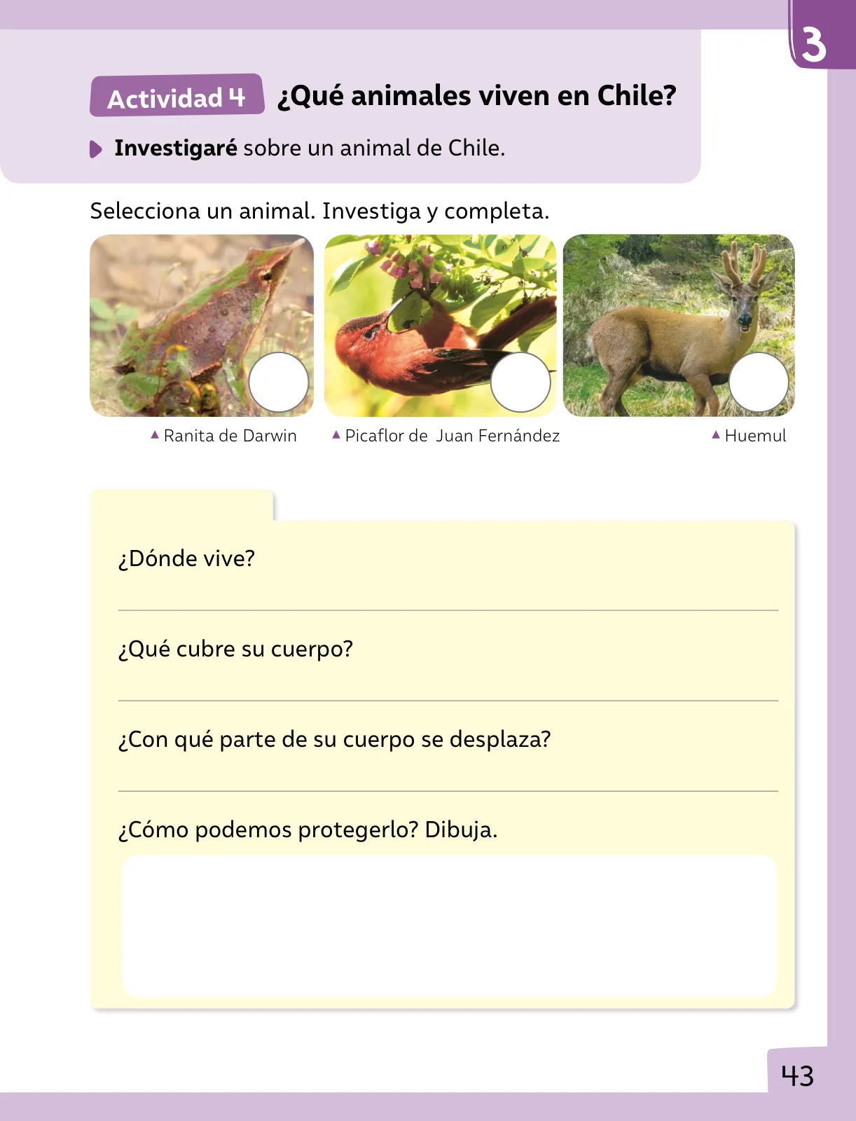 Miniatura página 44 de Ciencias Naturales – Primero Básico | Texto del Estudiante (MINEDUC) – Descargar PDF · 2024