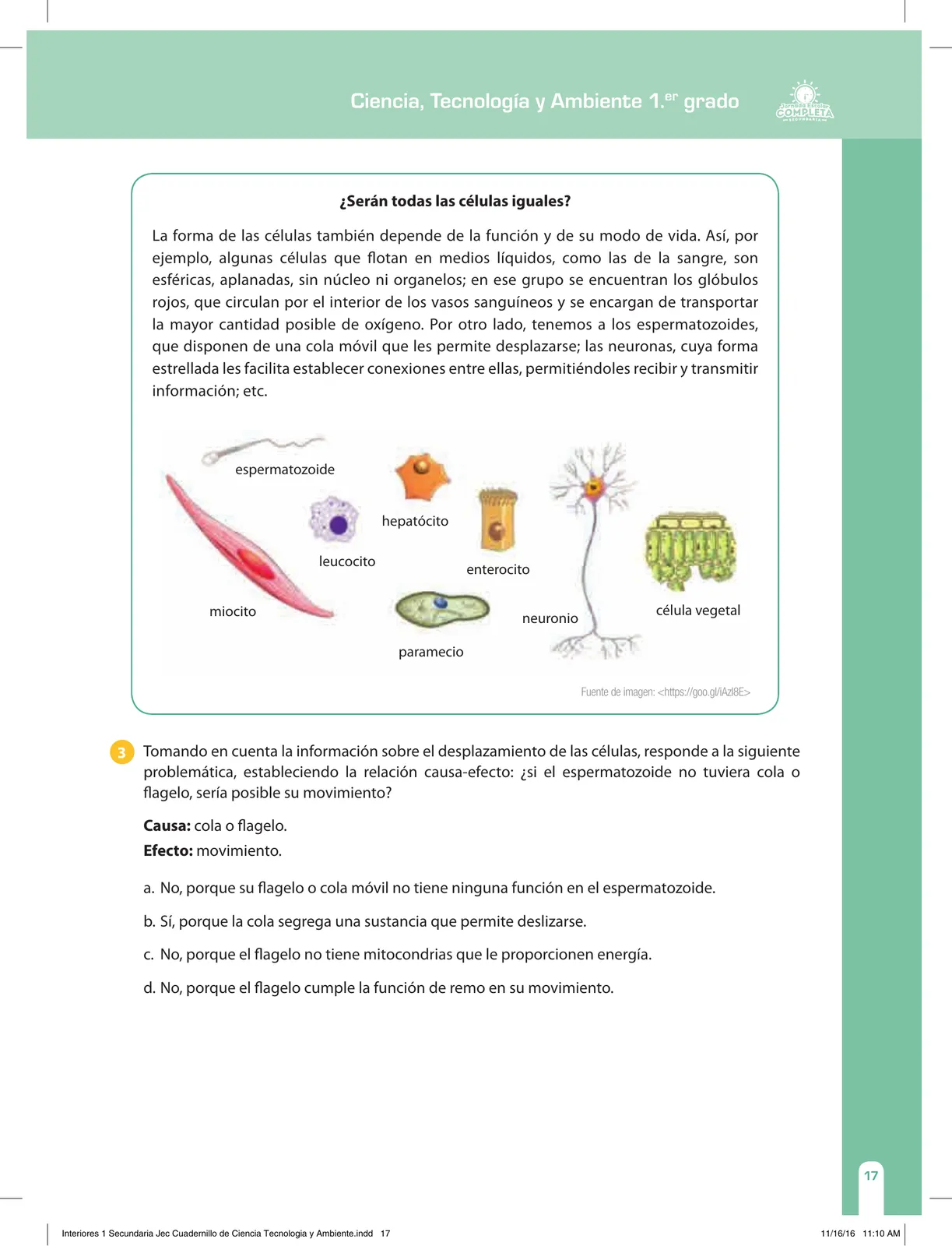 Miniatura página 17 de Ciencia, Tecnología y Ambiente 1. Cuaderno de reforzamiento pedagógico - JEC · 2016
