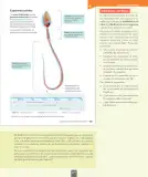 Miniatura página 102 de Ciencias Naturales – Séptimo Básico | Texto del Estudiante MINEDUC – Descargar PDF · 2024