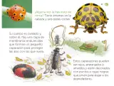Miniatura página 128 de Múltiples lenguajes.   Libro de Educación Preescolar Grado 1°  Ciclo Escolar 2025 - 2026