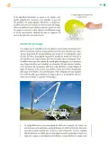 Miniatura página 304 de Colección Sk´asolil. Saberes y pensamiento científico.   Libro de Educación Telesecundaria Grado 2°  Ciclo Escolar 2025 - 2026