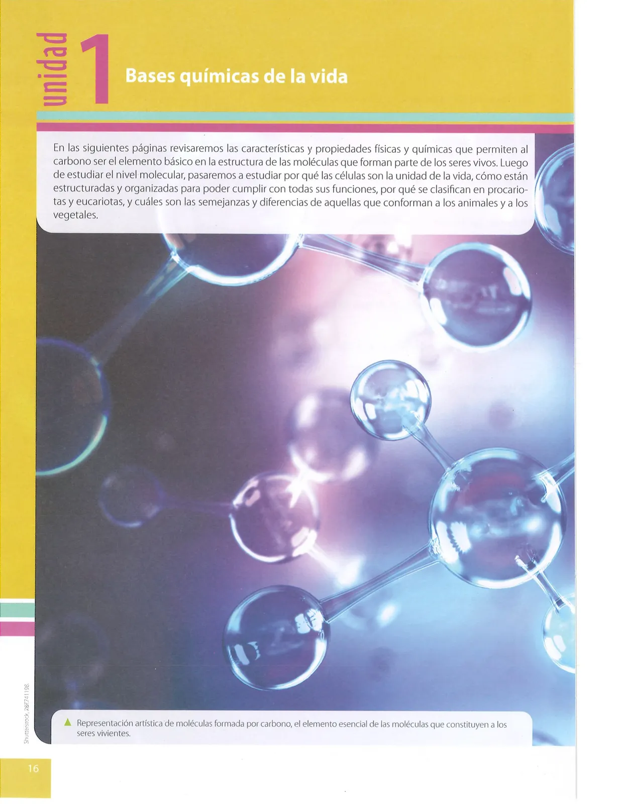 Página 17 de Ciencias Naturales · 9 EGB · 2024
