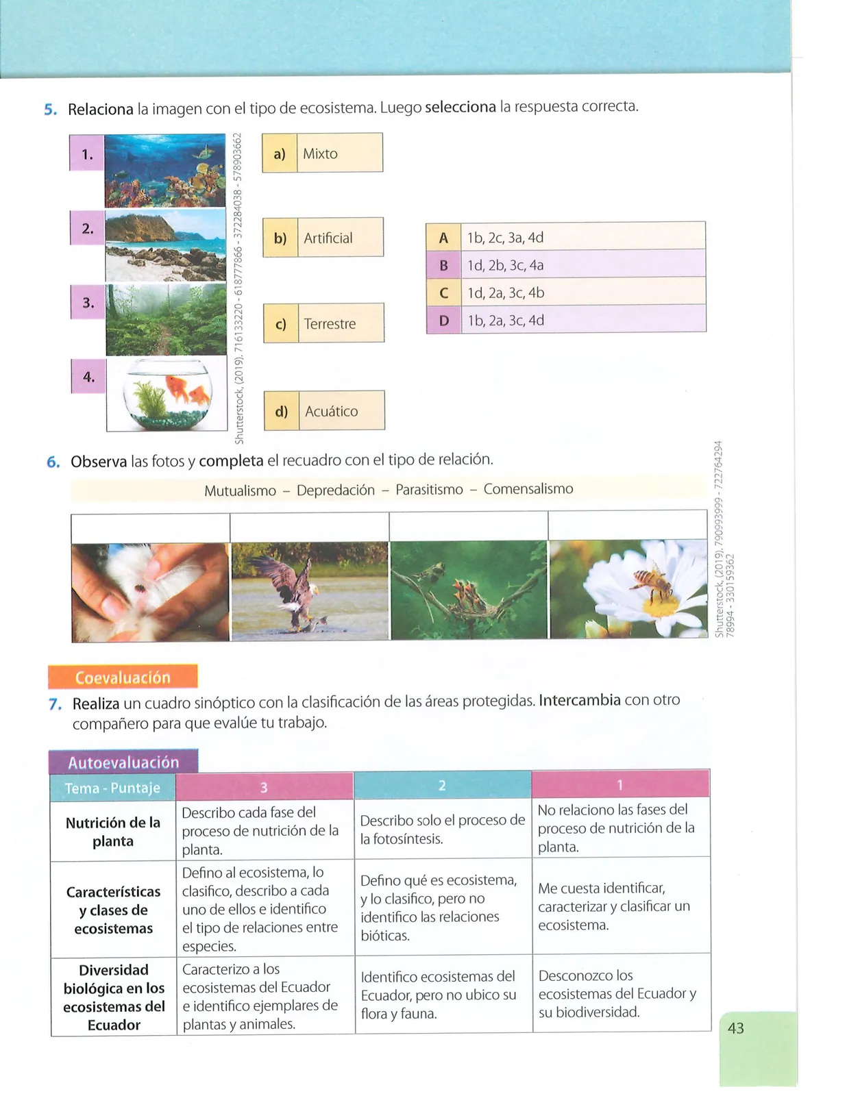 Página 42 de Ciencias Naturales · 7 EGB · 2024