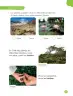 Miniatura página 83 de Ciencias Naturales – Primero Básico | Texto del Estudiante (MINEDUC) – Descargar PDF · 2024