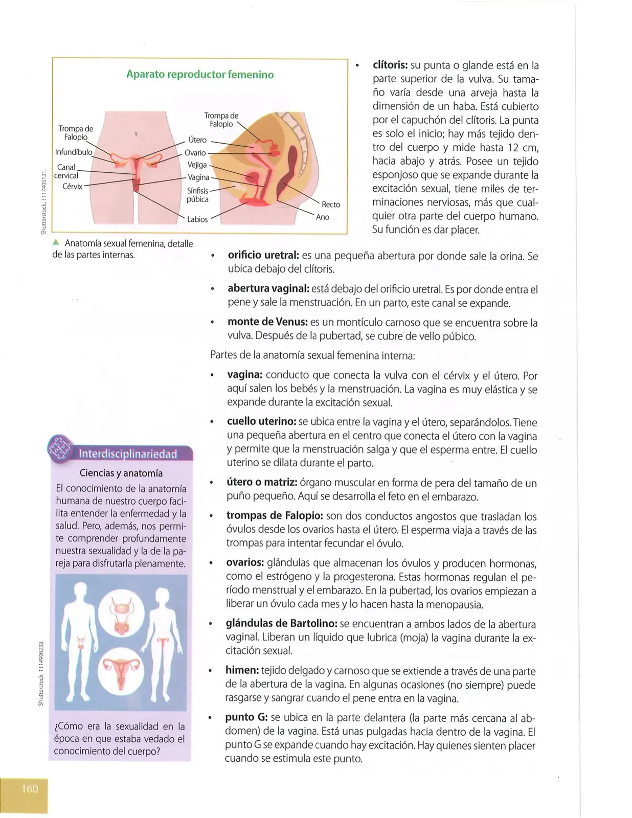 Página 159 de Ciencias Naturales · 8 EGB · 2025
