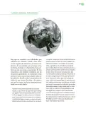 Miniatura página 134 de Crianza para la libertad. Libro para las familias. Fase 2  Libro de Educación Preescolar Grado 1°, 2°, 3°  Ciclo Escolar 2025 - 2026