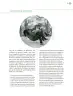Miniatura página 134 de Crianza para la libertad. Libro para las familias. Fase 2  Libro de Educación Preescolar Grado 1°, 2°, 3°  Ciclo Escolar 2025 - 2026