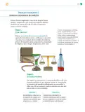 Miniatura página 132 de Colección Nanahuatzin. Nuestro libro de Proyectos. Tomo I.   Libro de Educación Telesecundaria Grado 3°  Ciclo Escolar 2025 - 2026