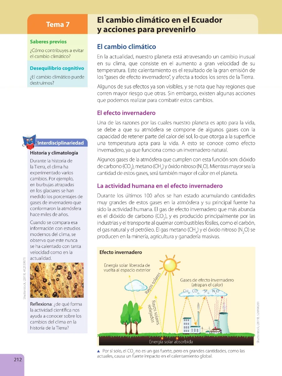Página 214 de Estudios Sociales · 6 EGB · 2025