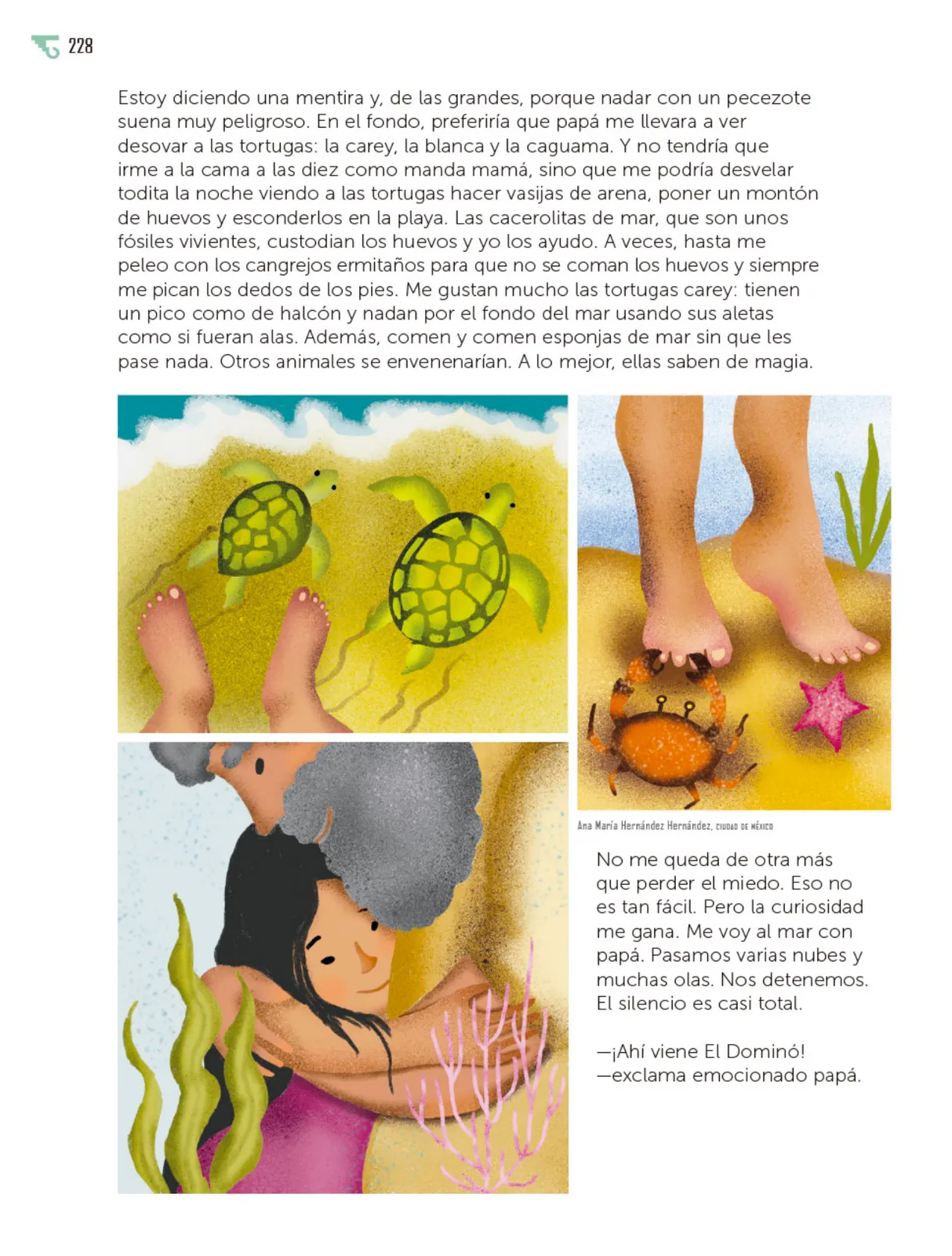 Página 229
