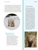 Miniatura página 166 de Nuestros saberes: Libro para alumnos, maestros y familia.   Libro de Educación Primaria Grado 1°  Ciclo Escolar 2025 - 2026