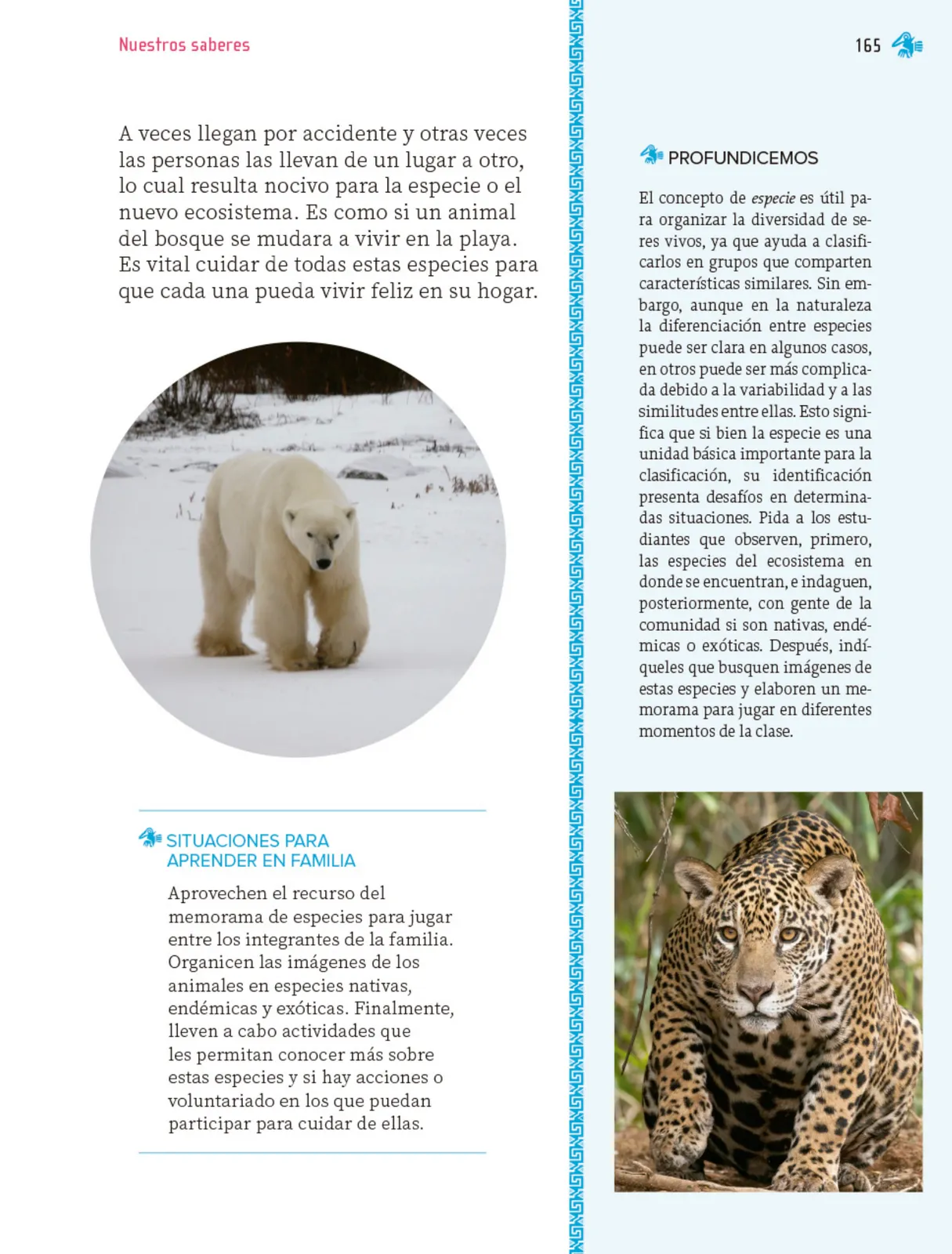 Miniatura página 166 de Nuestros saberes: Libro para alumnos, maestros y familia.   Libro de Educación Primaria Grado 1°  Ciclo Escolar 2025 - 2026