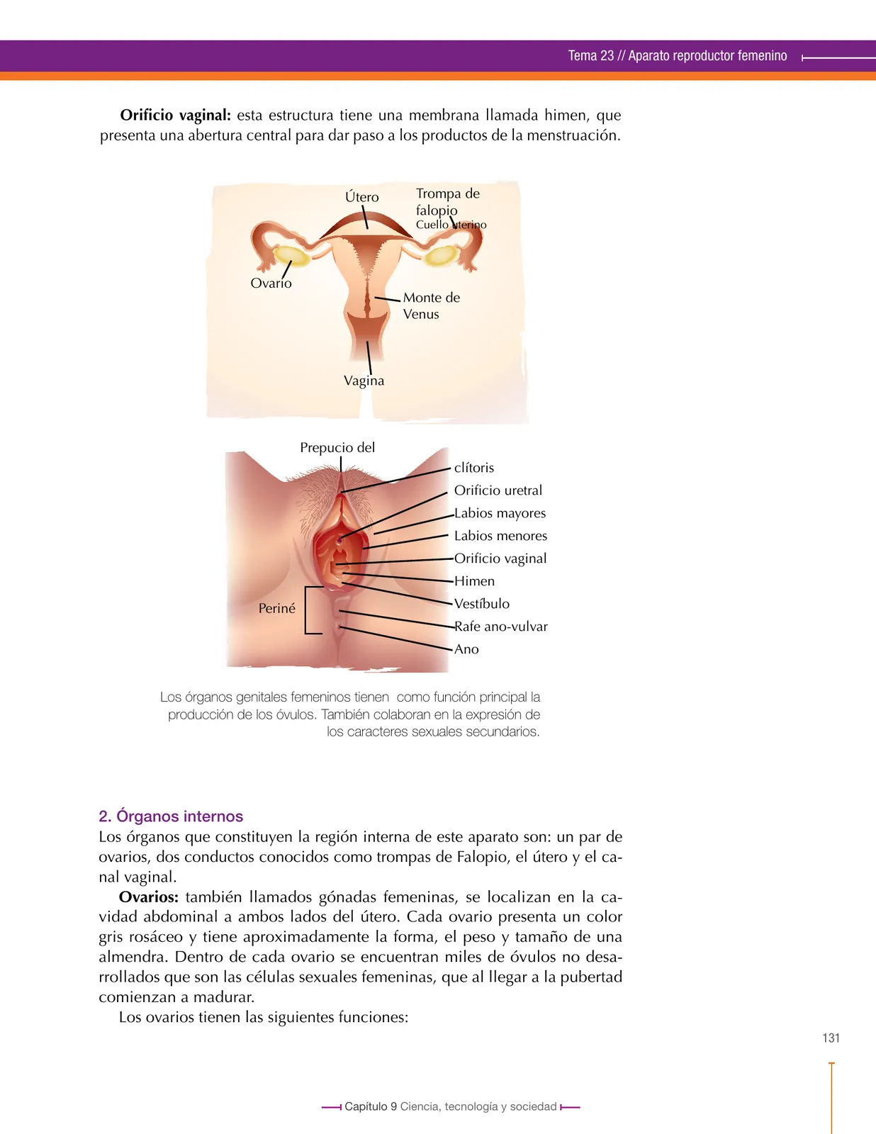 Página 131 de Ciencias Naturales 8° · Secundaria Activa
