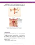 Miniatura página 131 de Ciencias Naturales 8° · Secundaria Activa