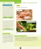 Miniatura página 77 de Ciencias Naturales – Primero Básico | Texto del Estudiante (MINEDUC) – Descargar PDF · 2024