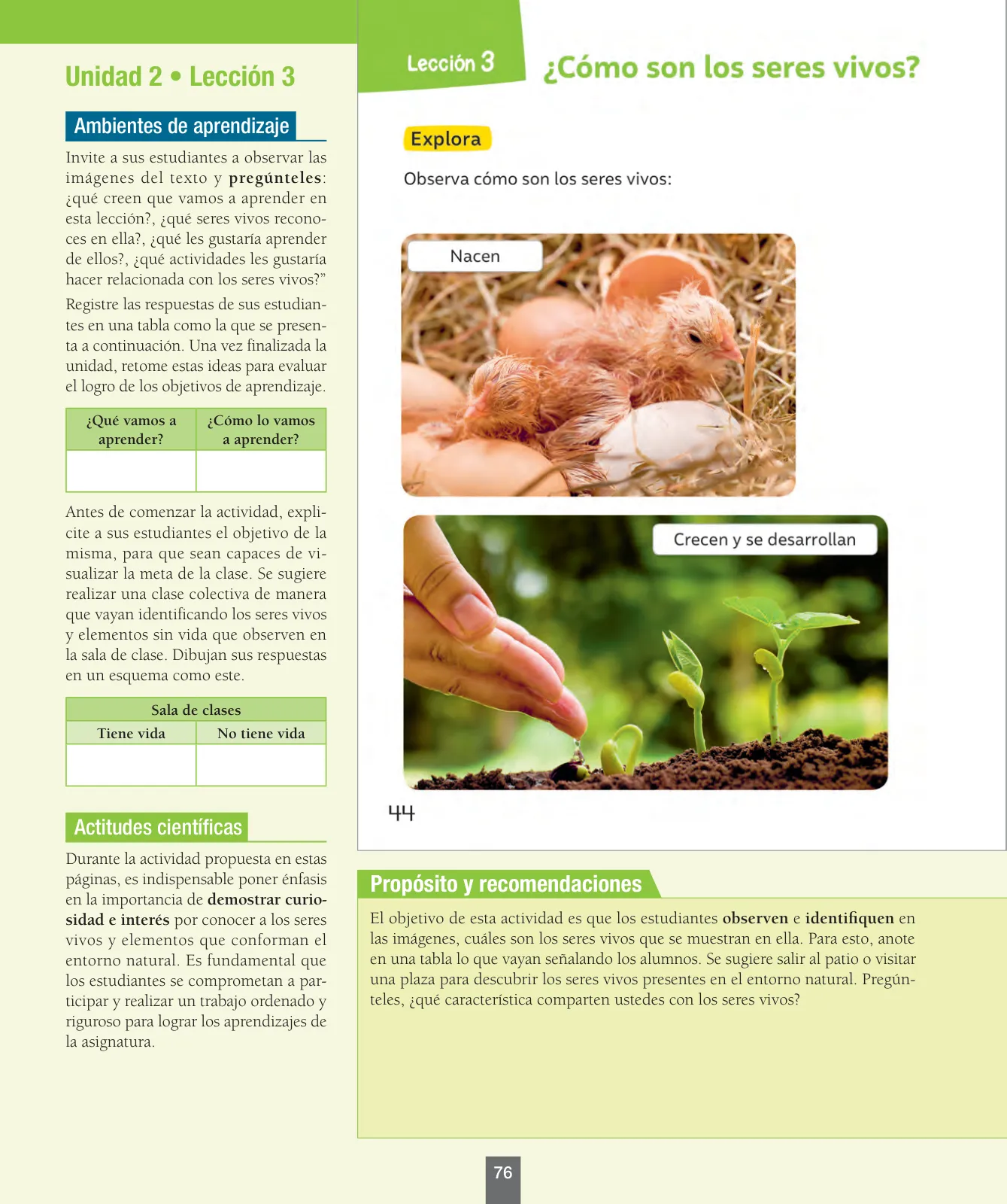 Miniatura página 77 de Ciencias Naturales – Primero Básico | Texto del Estudiante (MINEDUC) – Descargar PDF · 2024