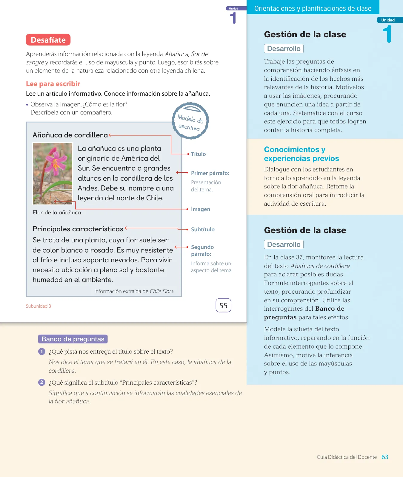 Página 65 de Lenguaje y Comunicación – Segundo Básico – Texto del Estudiante MINEDUC – Descargar PDF · 2024
