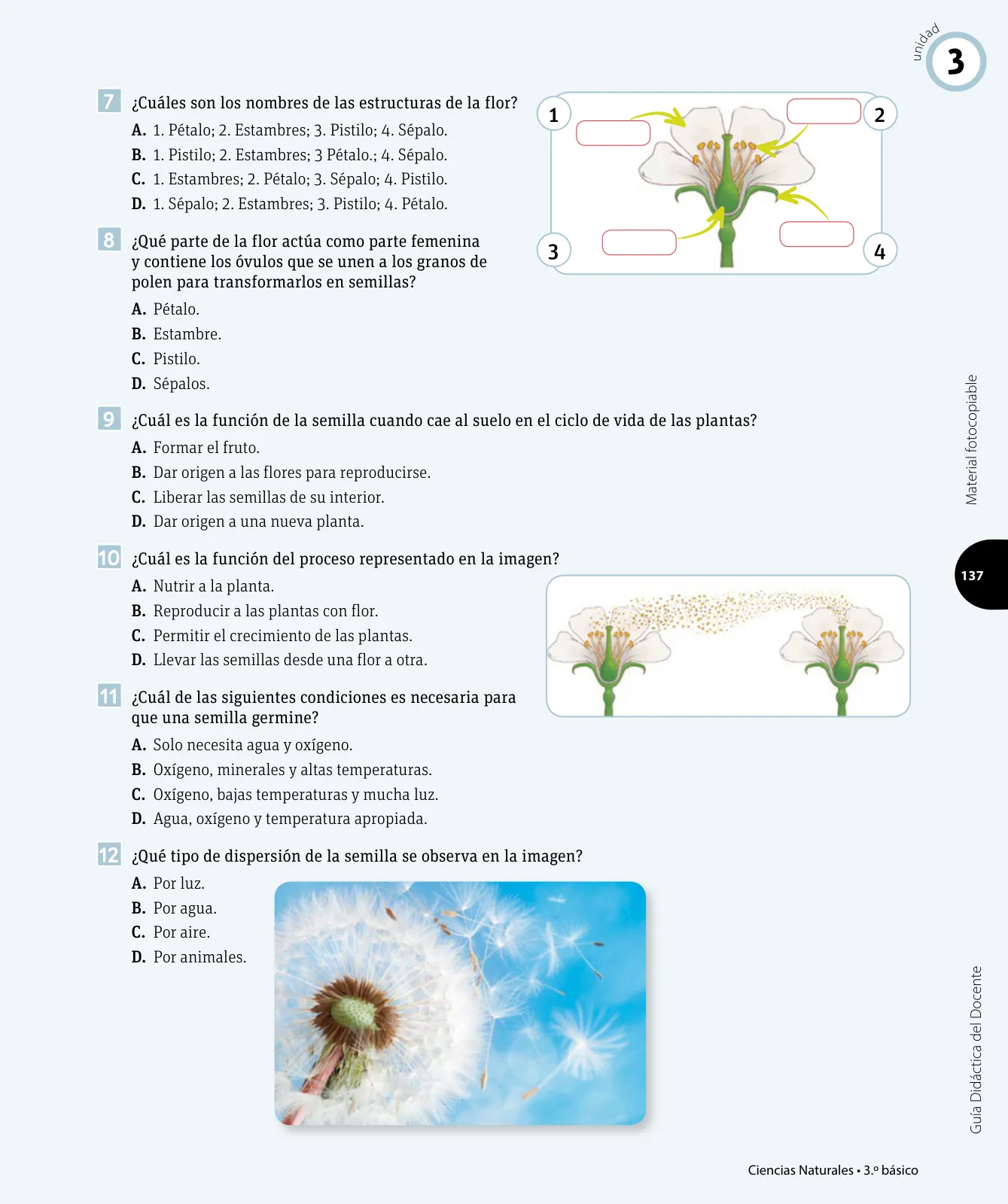 Página 38 de Ciencias Naturales – Tercero Básico | Texto del Estudiante MINEDUC – Descargar PDF · 2024