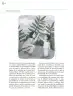 Miniatura página 155 de Crianza para la libertad. Libro para las familias. Fase 2  Libro de Educación Preescolar Grado 1°, 2°, 3°  Ciclo Escolar 2025 - 2026