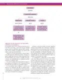 Miniatura página 212 de Ciencias Naturales 9° · Secundaria Activa