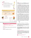 Miniatura página 19 de Sumo Primero – Quinto Básico | Texto del Estudiante MINEDUC – Descargar PDF · 2024