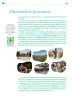 Miniatura página 67 de Colección Ximhai. Nuestro libro de Proyectos. Tomo I.   Libro de Educación Telesecundaria Grado 1°  Ciclo Escolar 2025 - 2026