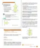 Miniatura página 71 de Sumo Primero – Cuarto Básico | Texto del Estudiante MINEDUC – Descargar PDF · 2024
