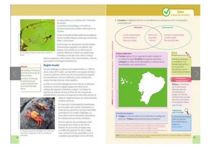 Página 11 de Ciencias Naturales 5° · Egb 5 Ciencias Naturales 2024 · 2024
