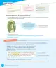 Miniatura página 134 de Lenguaje y Comunicación – Tercero Básico | Texto del Estudiante MINEDUC – Descargar PDF · 2024