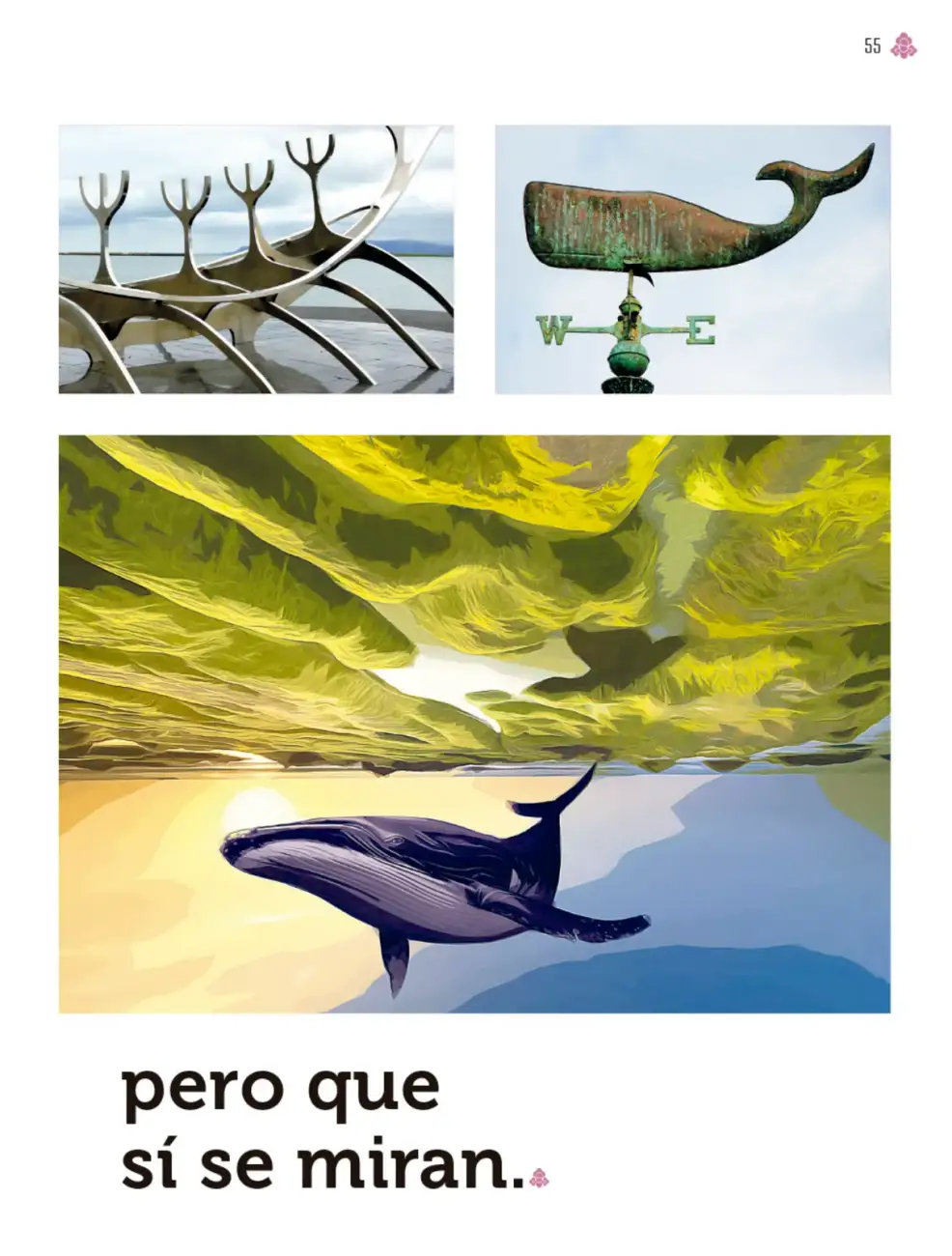 Página 56