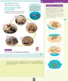 Miniatura página 152 de Ciencias Naturales – Segundo Básico | Texto del Estudiante MINEDUC – Descargar PDF · 2024