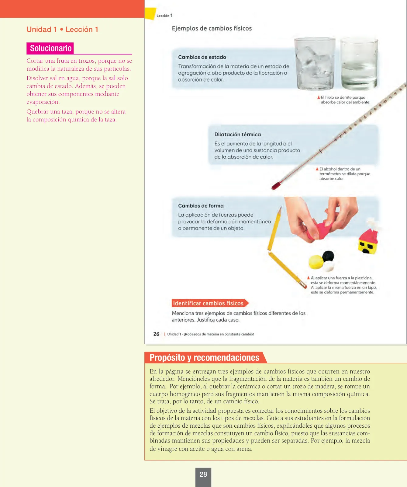 Página 29 de Ciencias Naturales – Séptimo Básico | Texto del Estudiante MINEDUC – Descargar PDF · 2024