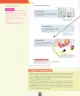 Miniatura página 29 de Ciencias Naturales – Séptimo Básico | Texto del Estudiante MINEDUC – Descargar PDF · 2024