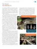 Miniatura página 36 de Nuestros saberes: México, grandeza y diversidad.   Libro de Educación Primaria Grado 4°  Ciclo Escolar 2025 - 2026