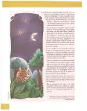Miniatura página 64 de Lengua Y Literatura 10° · Egb 10 Lengua Y Literatura 2025 · 2025