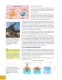 Miniatura página 189 de Ciencias Naturales 9° · 2025