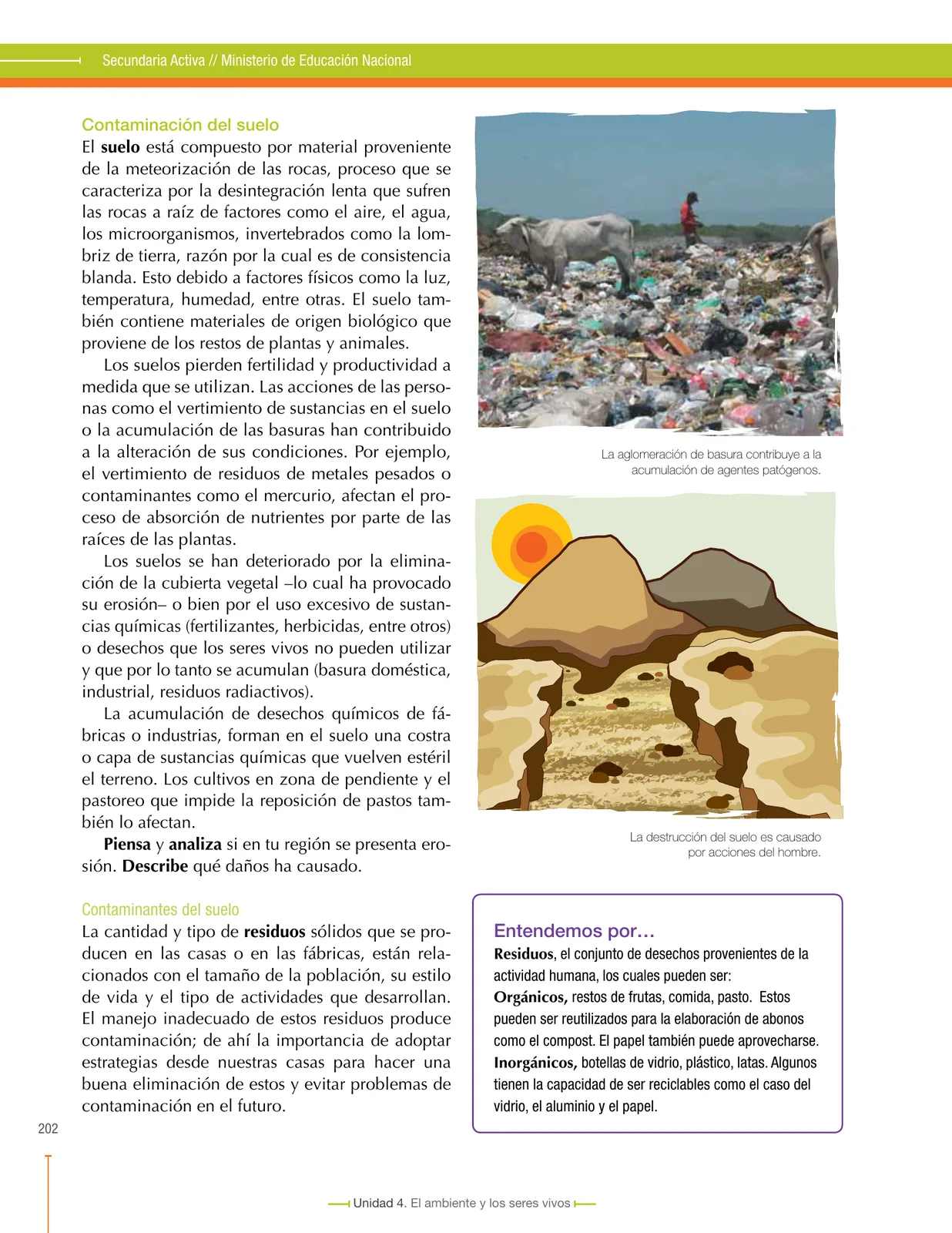 Pág 206