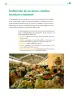 Miniatura página 70 de Colección Sk´asolil. De lo humano y lo comunitario.   Libro de Educación Telesecundaria Grado 2°  Ciclo Escolar 2025 - 2026